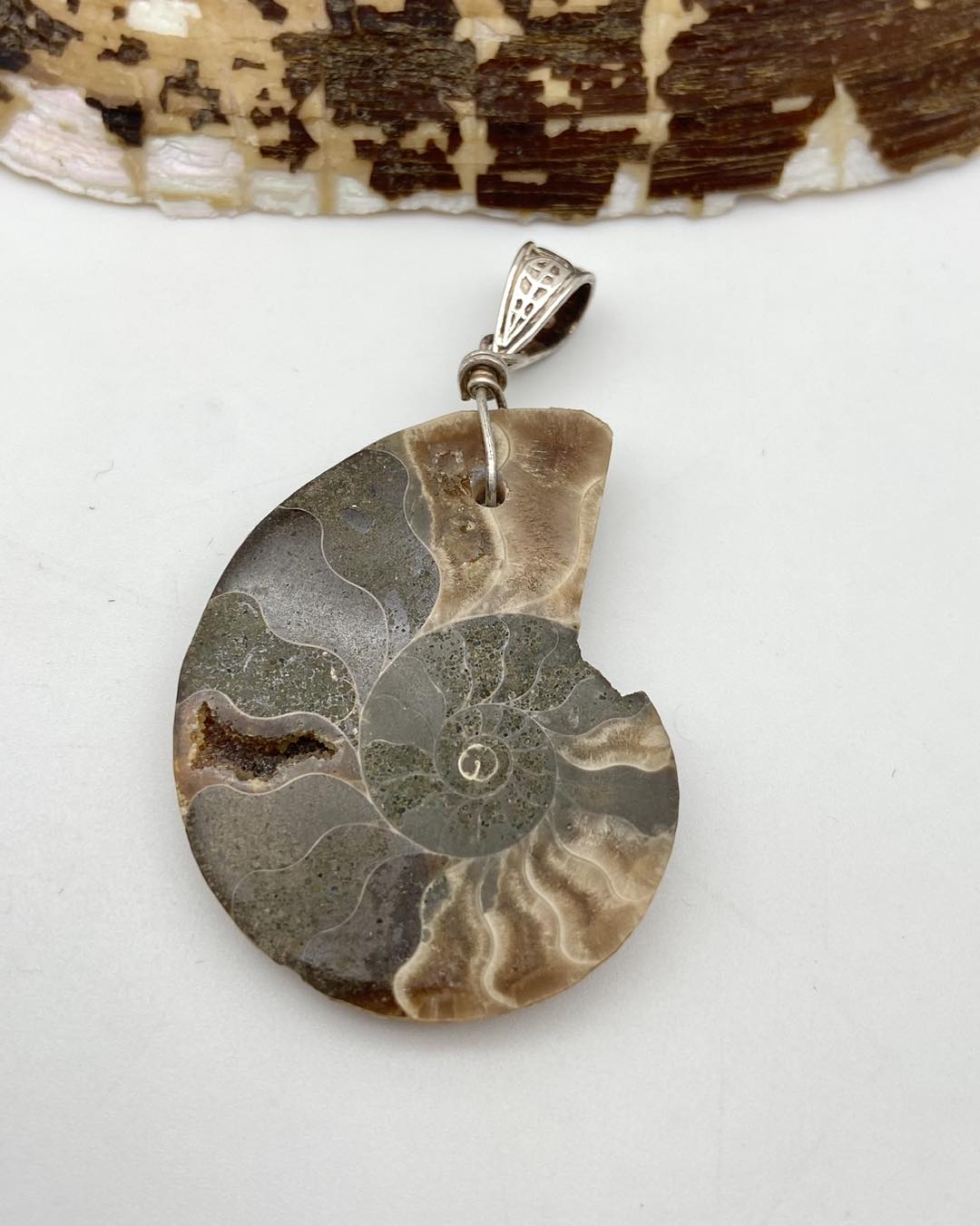 Ammonite Silver Pendants - Dokkana Gemstones