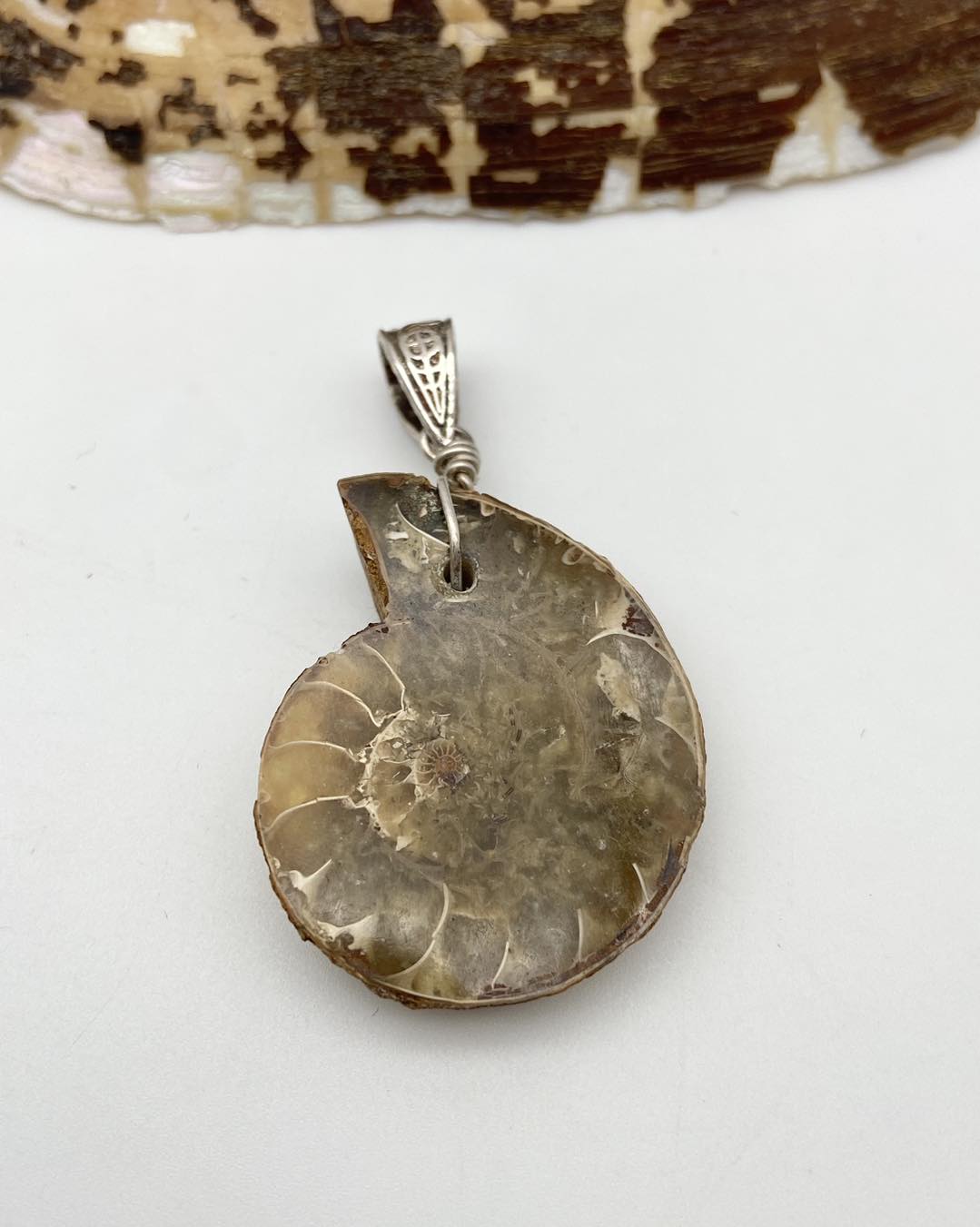 Ammonite Silver Pendants - Dokkana Gemstones