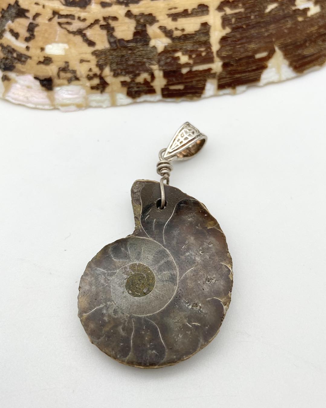 Ammonite Silver Pendants - Dokkana Gemstones