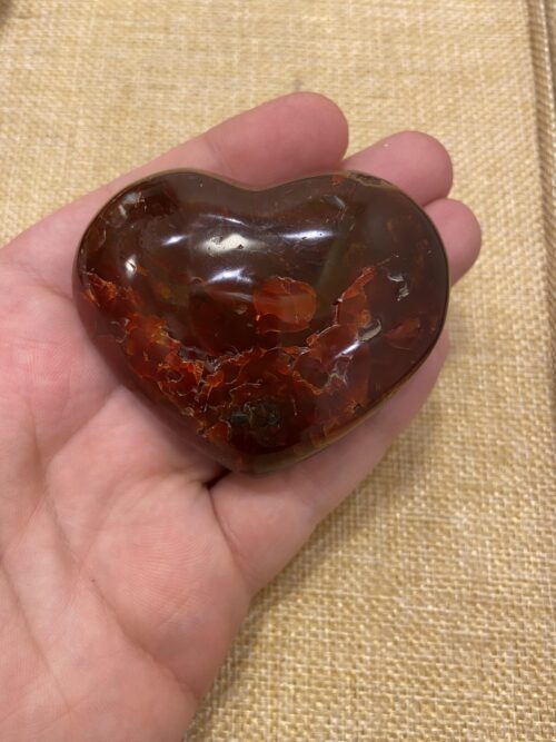 قطعة عقيق احمر شكل قلب علي اليد لتوضيح الحجم